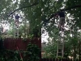 Don’t Lean The Ladder Against The Tree You’re Cutting