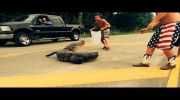 Alligator Attack Caught on Camera: Huge Reptile Snaps Man's Hand