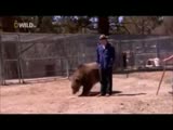 Bear kills reporter