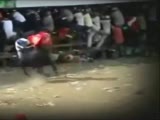 Bull Beats The Crap Out Of A Guy!