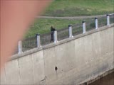 Insane guy polishes the fence