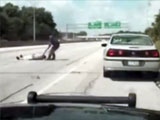 Cop Drags Fat Ass Across The Freeway!