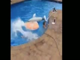 Guy Missed The Pool