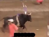 Bull Attacks Guy In The Mud!