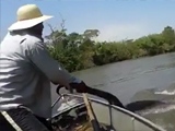 Incredible Video of An Absolutely Huge Anaconda Teased By Morons In A Boat