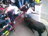 Guy Plays Dead But The Bull Doesn't Care