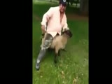 Drunk idiot rides sheep, sheep gives karma