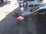 Man Gets Attacked By Two Pitbulls In The Street