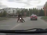 Biker Didn't Realize He Had To Go Around Corners