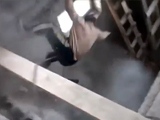 Construction Worker Takes A Fall After Making A Dumb Mistake