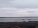 Plane Crashes Into The Water!