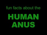 True Facts About The Human Anus!