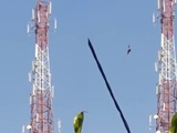 Man Swan Dives From A Very Tall Cell Tower