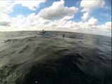 Hammer Head Shark Stalks A Kayaker!