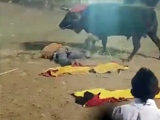 Man Finds Out The Hard Way Riding On A Horse Doesn't Stop The Bull