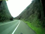 Biker Vs jumping Deer