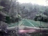 Entire Forest Spontaneously Falls on Cars