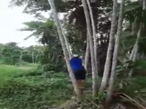 Just another idiot falls