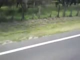 WTF crazy bitch on side of road