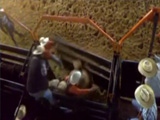 Rodeo Rider Dies After Bull Stomps On His Chest