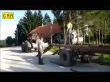 Tractor escapes into the wild