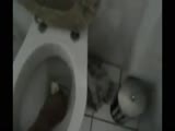 German stupid asshole, blows his toilet