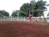 Bull Quickly Dumps Rider And Stomps On His Head