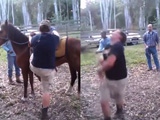 Man Trying To Mount A Horse Gets An Almighty Crack Across The Face From A Hoof