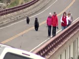 Video: Tourists try to act casual as they flee mama bear!
