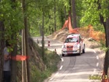 rally car flips and hits the tree