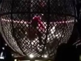 Two Circus Stunt Riders Collide Upside Down In A Globe Of Death