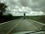 Meanwhile on brazilian road