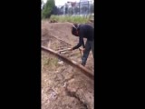 worker gets sudden surprise