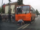 Bus Driver Slowly Runs Over A Pedestrian On A Crossing