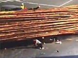 Scooter Rider Crushed To Death By Logs After Cutting Up A Truck