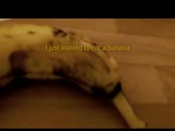 Spider Thing Comes Out Of A Banana!