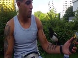 crow steals the joint