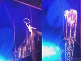 Circus Performer Falls To A Bone Crunching Ending