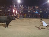 Idiot Taunting A Bull With Flaming Horns Has His Neck Snapped