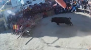 Angry Bull Versus A Bunch Of Guys With A Stick Barricade