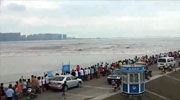 Curious Crowd Watching A Huge Wave Coming Is Swept Away