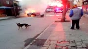 Wasted junkie trying to extinguish burning car