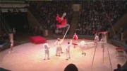 Acrobatic Circus Show Goes Very Wrong