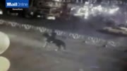 BMW ploughs into man riding a horse in China