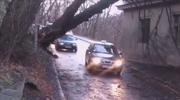 Wrong Place At The Wrong Time - Tree Crushes Passing Car