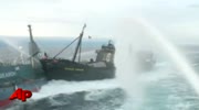 Ships Collide in Whaling Clash