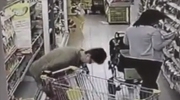 Woman Takes A Shit In A Supermarket Freezer