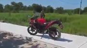 Crazy Monkey Tries To Vandalize Bike Then Attacks The Rider