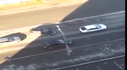 A Sinkhole on the Road Happening in Real Time as Cars Pass