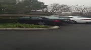 Crazy Driver Goes on a Parking Lot Rampage